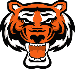 Rawlings Tigers logo